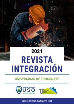 Ver Núm. 9 (2021)